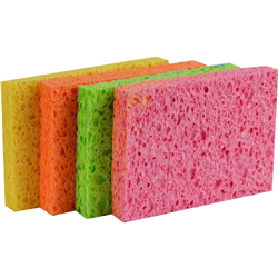 Sponges & Scourers